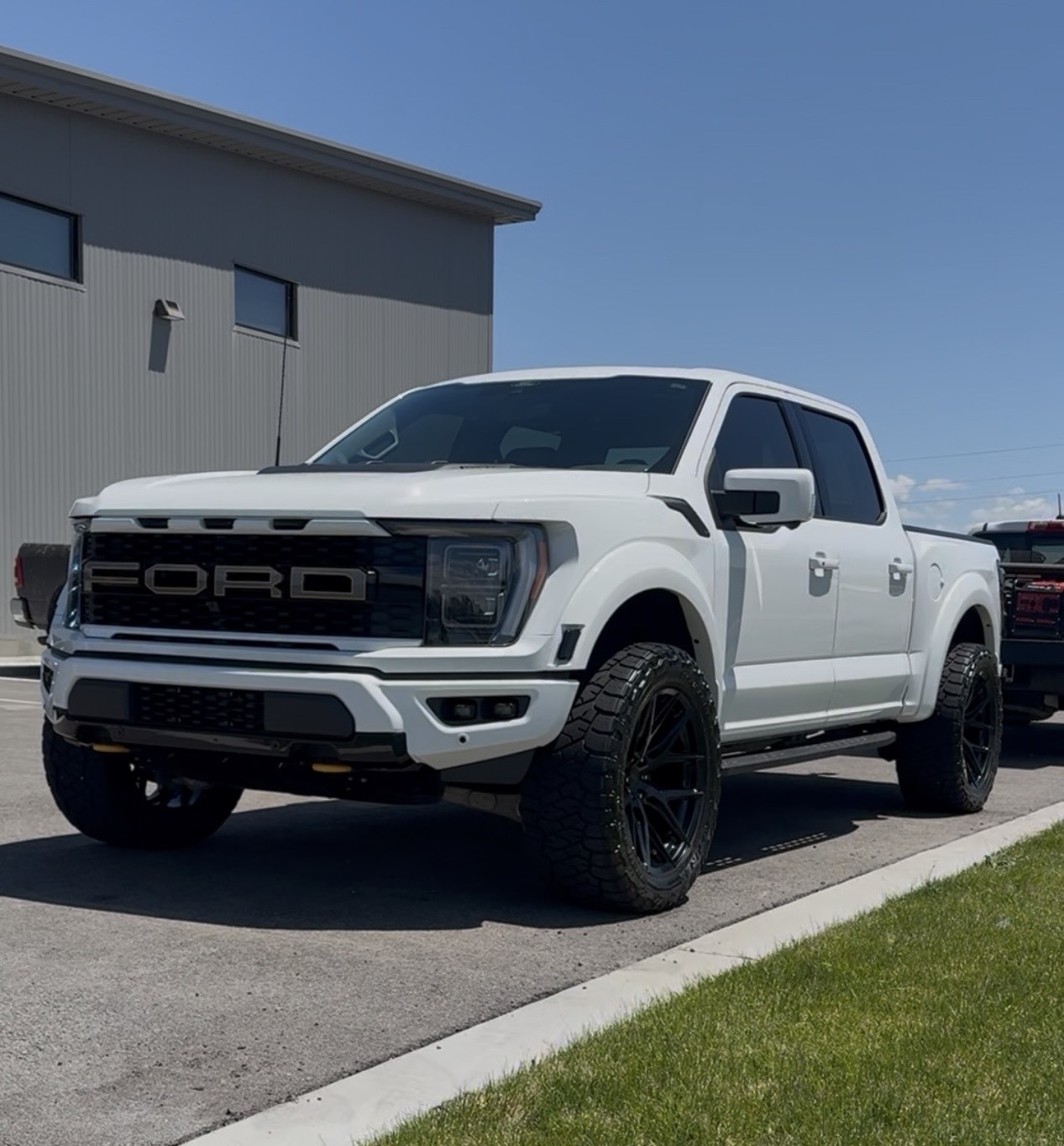 White Ford F-150 Raptor detailed